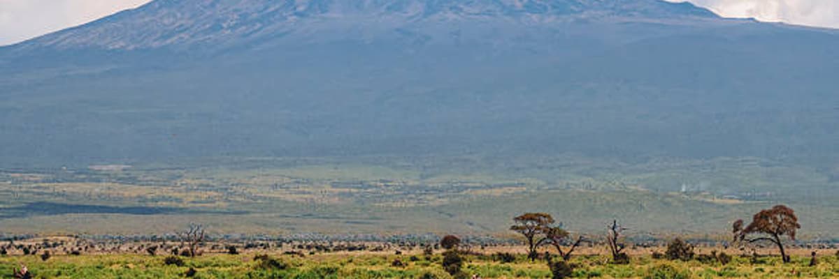Przygoda Family Holiday Safaris