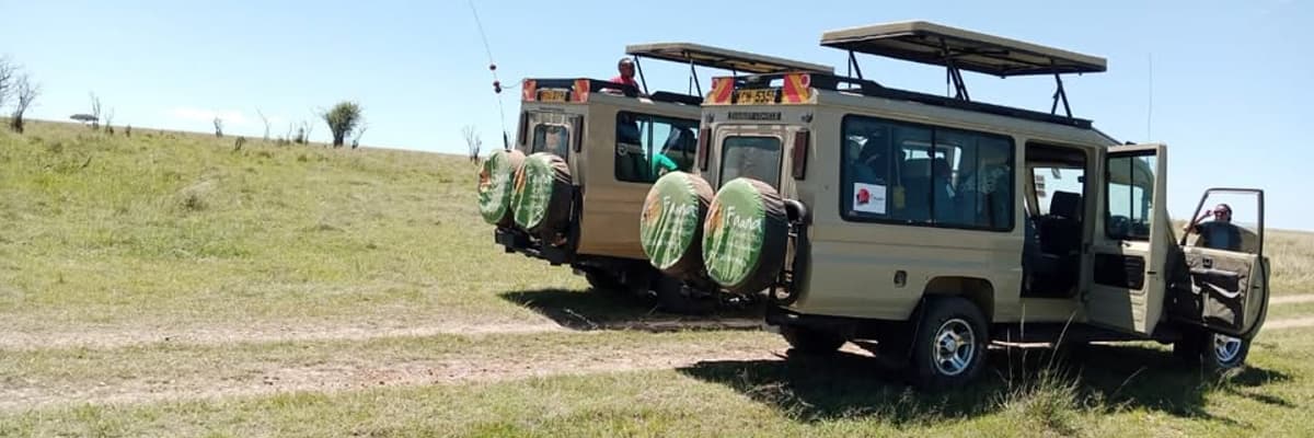 Fauna Safaris