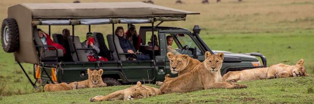 Milana Tours and Safaris