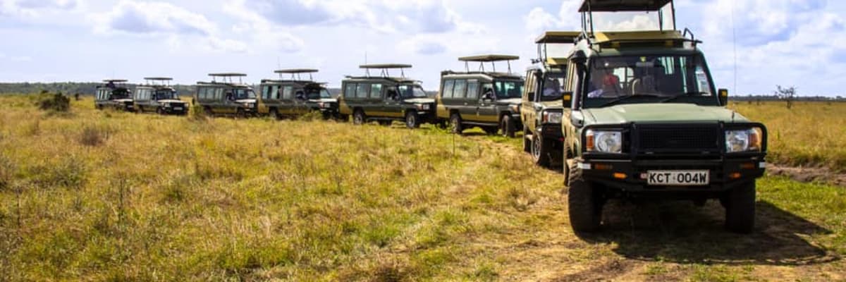 Saafo Safaris