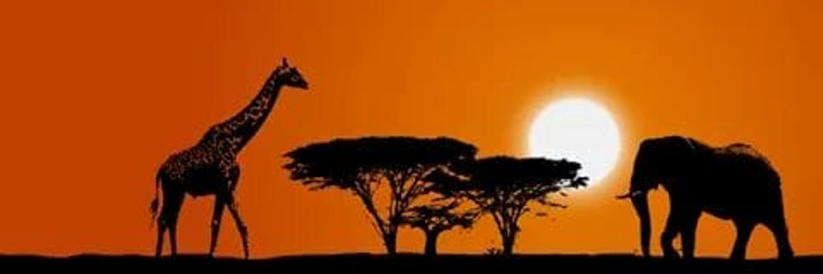 Touchwild TOURS and Travel