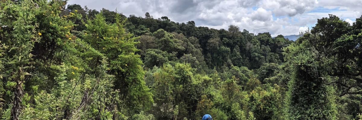 Trek Team Adventures