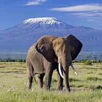 Przygoda Family Holiday Safaris