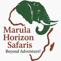 Marula Horizon Safaris