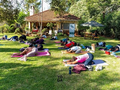 Yoga class in the park