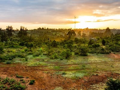 Nanyuki Day Trip
