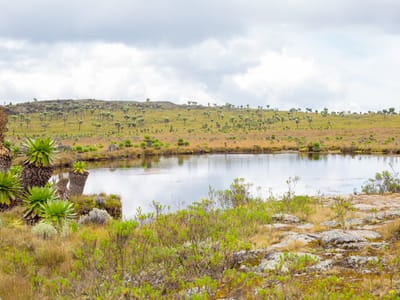 7 Ponds Hike