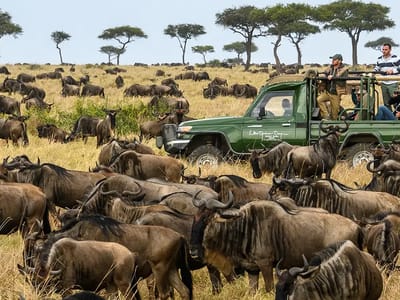 Samburu Tour