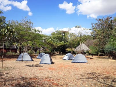 Tsavo West Game Drives - 2 Nights - Lake Jipe