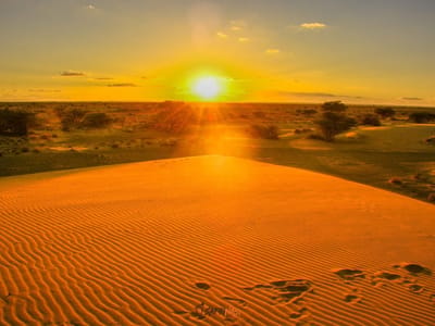 Twende Chalbi: Kenya's Spectacular North Adventure