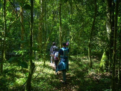 Kimakia Falls Hike and Swim