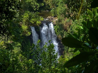 Kimunye Falls Hike and Swim