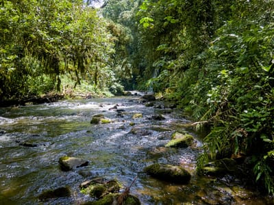 Kangere Waterfall Hike & Swim