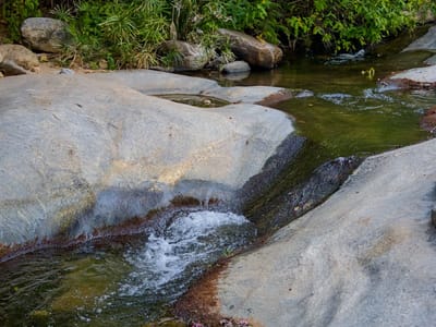Northern Kenya Tour
