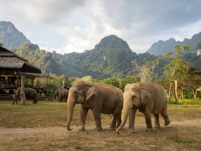 Elephant Hills Hike