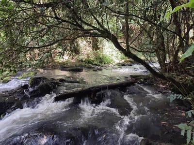 Gatamaiyu Forest Hike & Swim
