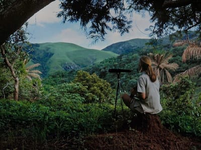 12 Days - Southern Highlands, Great Rift & Primate Wildernes