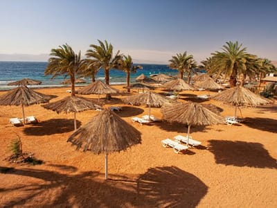 Jordan: Ancient Cities, Desert & Red Sea Adventure