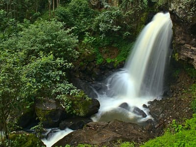 Kahunira Waterfalls Backcountry Trek