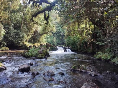 Kang'ere Falls Day Trip