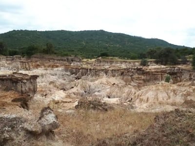 Sagana Gorges and Kiambicho Forest Trek