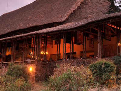 Tsavo West Game Drives - 2 Nights - Kilaguni Serena