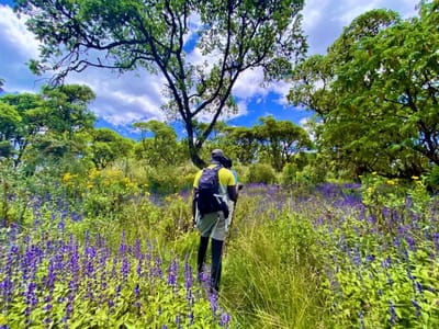 Mount Kipipiri Hike