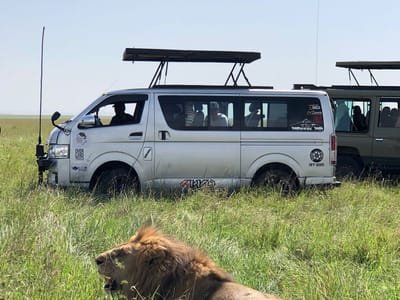 1-Day Amboseli National Park & Maasai Village Private Safari