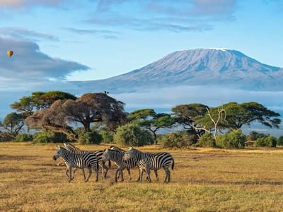 3 Days Private Amboseli Safari