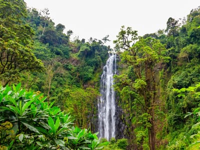 Tanzania Moshi & Arusha Adventure