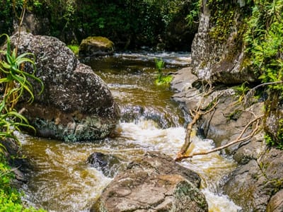 Mau Mau Caves Hike