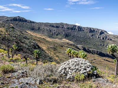 Climb Mt Elgon Koitoboss Peak
