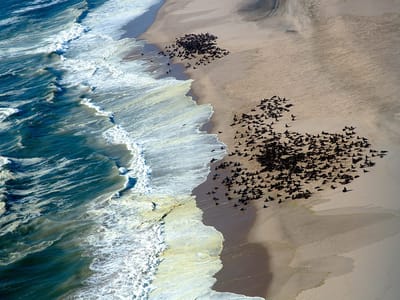 Skeleton Coast, Namibia