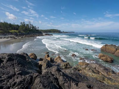 North Coast Beach Hotel 2026 Deals