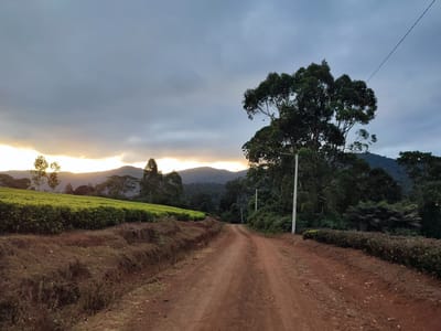 Ol Jogi Conservancy & Nyambene Hills Hike & Camping