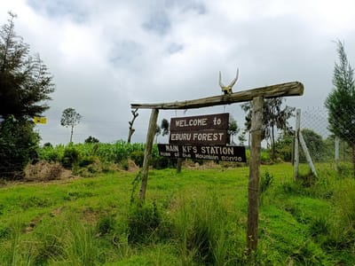 Eburru Eastern Summit Hike
