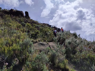 Rurimeria Moorland Trek