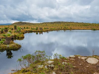 Table Mountain X Seven Ponds Hike