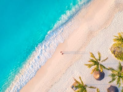 Twende Zanzibar
