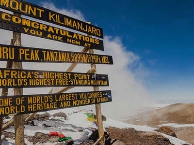 9-Day Kilimanjaro Adventure via the Northern Circuit