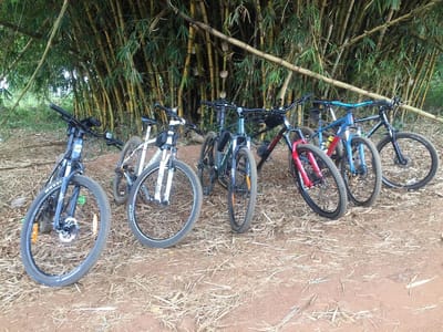 Kisumu-Usoma Bike Tour: Lakeside Cycling Adventure