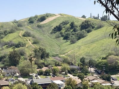 ELEPHANT HILL Day Hike