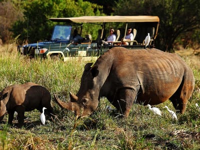 MERU NAT. PARK Overland and Wild Camping Safari