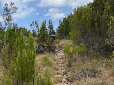 MT KIPIPIRI ABERDARES