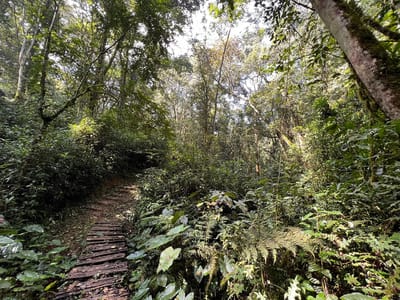 Ramogi Hills Hike: A Journey Through Luo Heritage