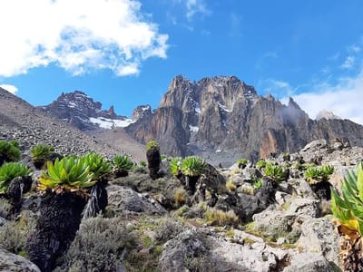 Mount Kenya Ascent: Chogoria Sirimon Route