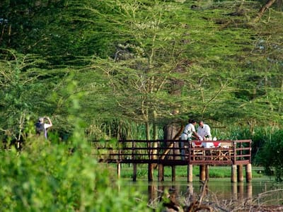 Tsavo West Game Drives - 2 Nights - Voyager Ziwani