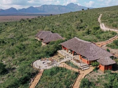 Tsavo Christmas Safari