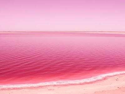 Lake Retba, Senegal: The Pink Lake Dream