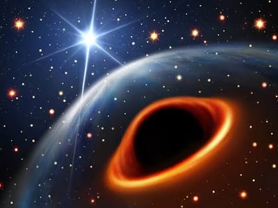 The Largest Stars & The Largest Black Holes